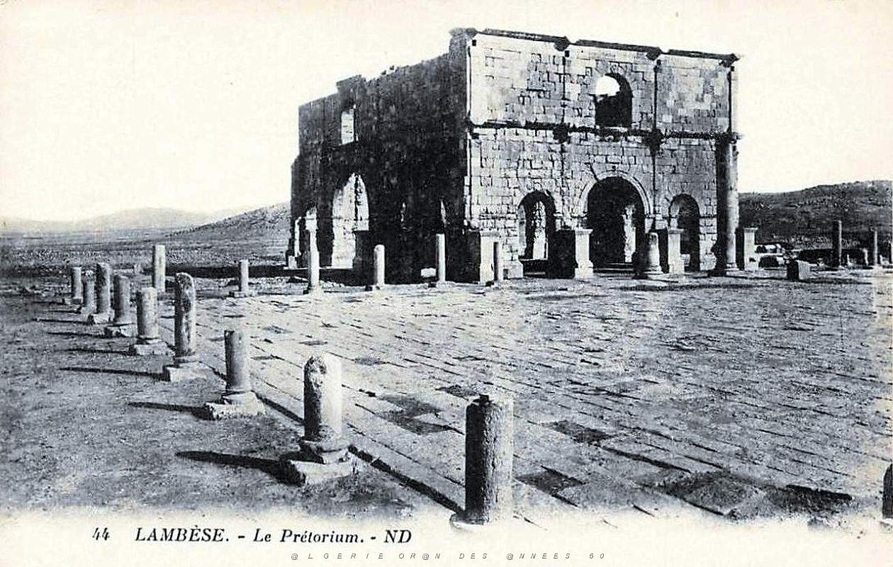 ALGERIE-RUINES ROMAINES DE LAMBESE (16).jpg
